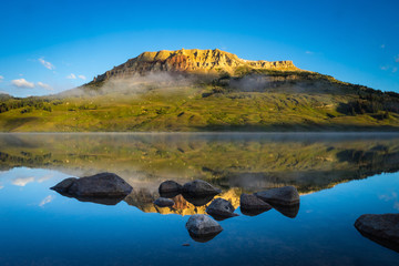 六年级英语复习单词