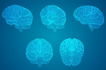 心理健康小知识简短