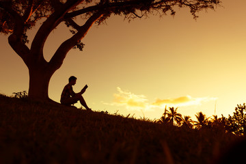 5种“大叶花”你知道吗