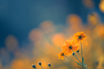 手工小闹钟怎么做