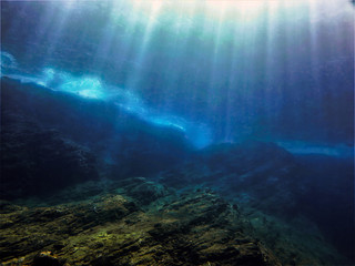 动物兄弟大猩猩超能力第几集