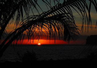 心理健康小知识简短