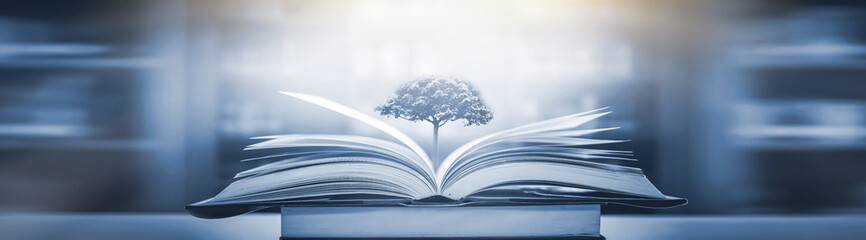 动物兄弟大猩猩超能力第几集