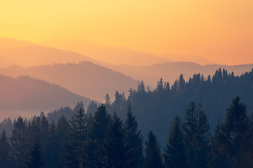 六年级英语复习单词