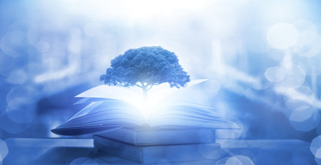 动物的有趣知识有哪些