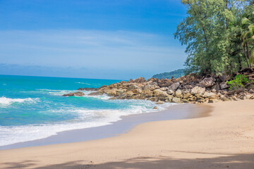 动物兄弟大猩猩超能力第几集