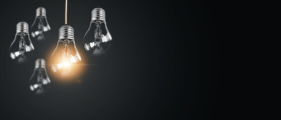 动物的有趣知识有哪些