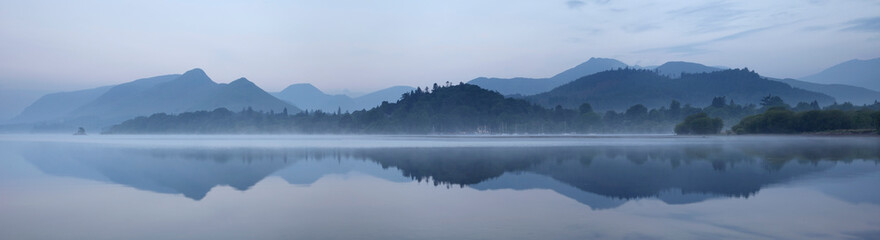 5种“大叶花”你知道吗