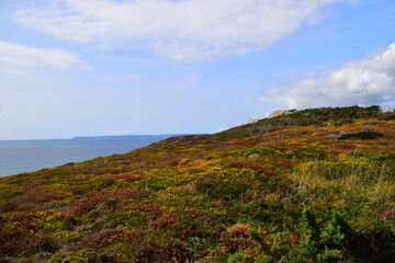 六年级英语复习单词