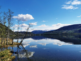 心理健康小知识简短