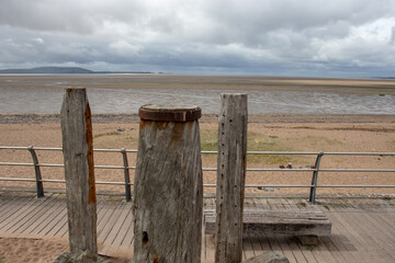 5种“大叶花”你知道吗