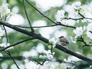 广西单招公办大专学校排名