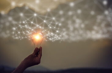 动物的有趣知识有哪些