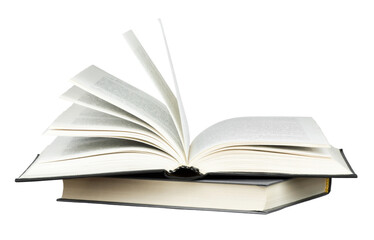 国武功夫会馆的馆长及教练介绍