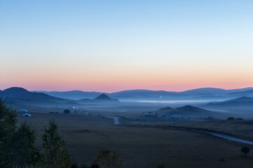 5种“大叶花”你知道吗