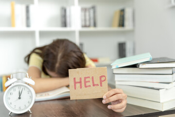 动物兄弟大猩猩超能力第几集