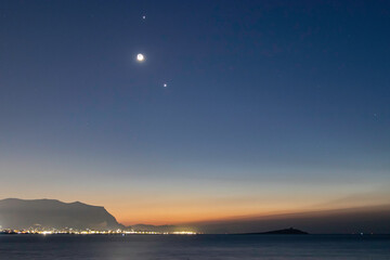 5种“大叶花”你知道吗