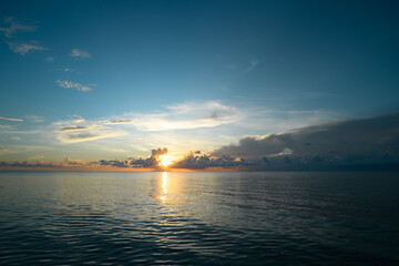 5种“大叶花”你知道吗