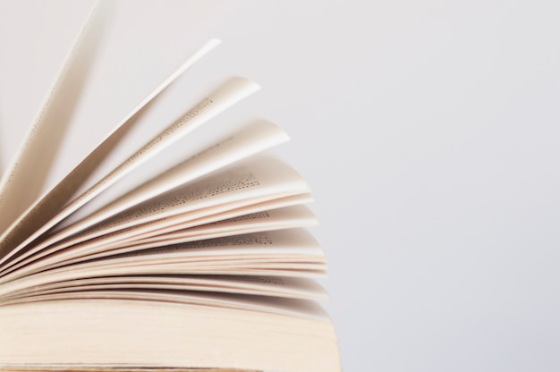 六年级英语复习单词