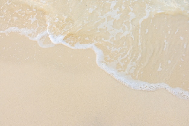 国家三农政策养殖怎么补贴