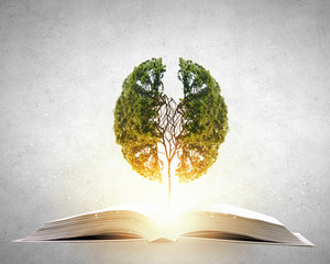 广西单招公办大专学校排名