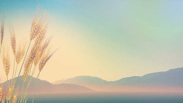 广西单招公办大专学校排名