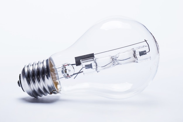 动物的有趣知识有哪些