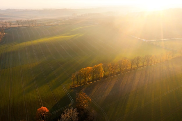 特别温柔的文案有哪些？