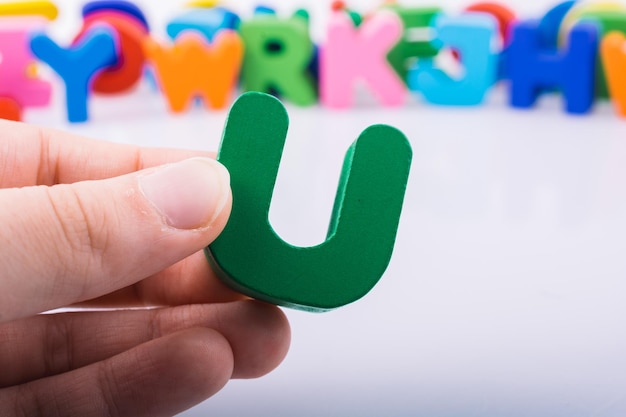 动物的有趣知识有哪些