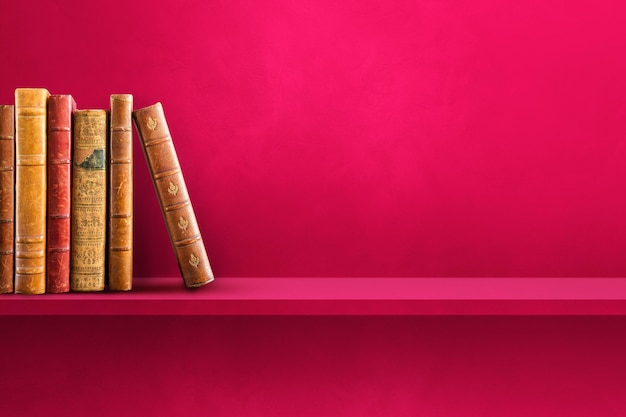 六年级英语复习单词