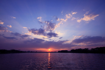 动物的有趣知识有哪些