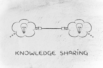 动物兄弟大猩猩超能力第几集